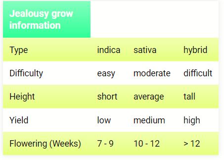 jealousy grow information