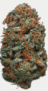 cherrk ak47 strain photo original