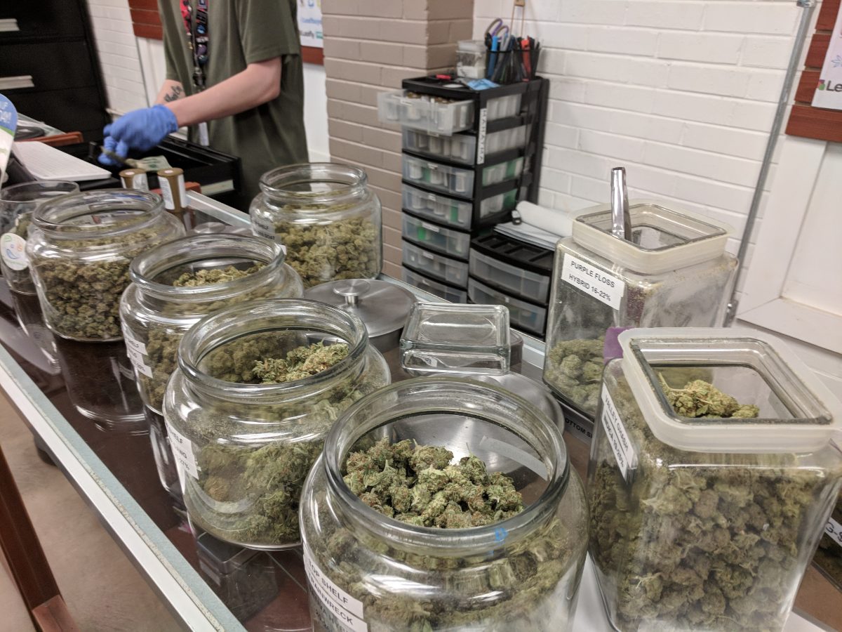 Jars of cannabis flower on display at a licensed dispensary