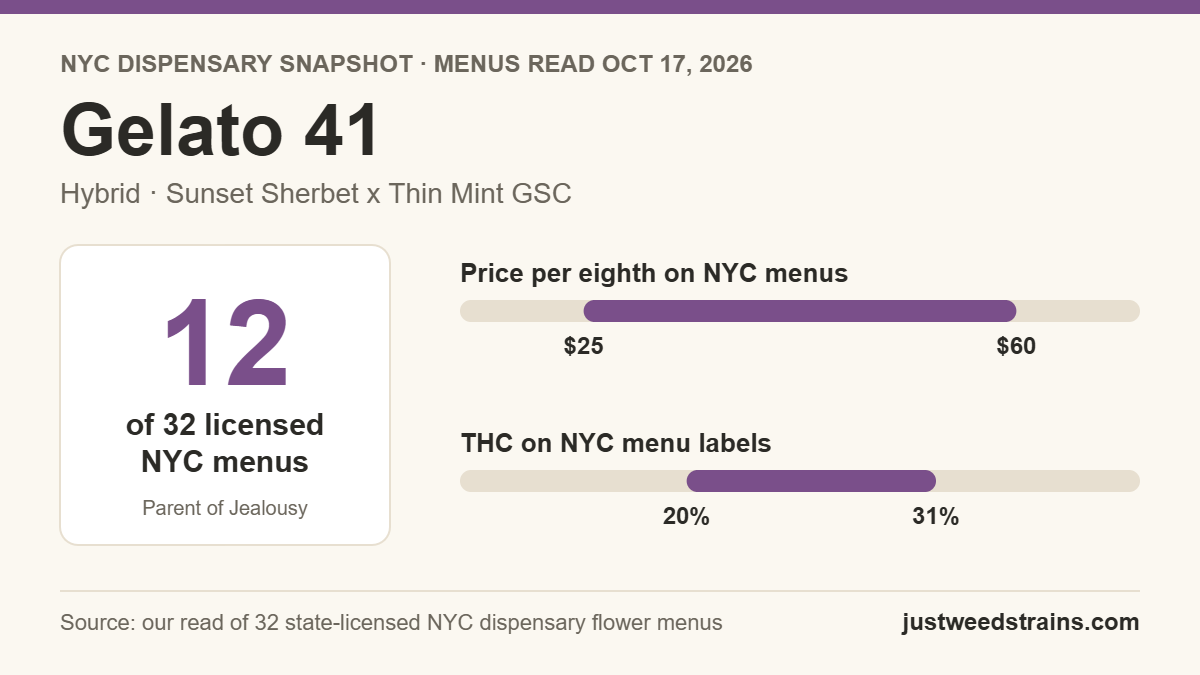 Gelato 41 NYC snapshot: on 12 of 32 licensed dispensary menus on Oct 17, 2026, $25 to $60 per eighth, 20% to 31% THC on labels