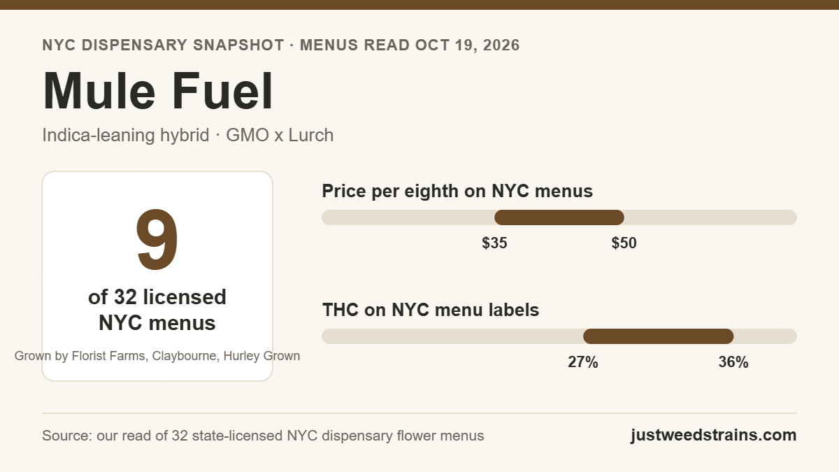Mule Fuel NYC snapshot: on 9 of 32 licensed dispensary menus on Oct 19, 2026, $35 to $50 per eighth, 27% to 36% THC on labels