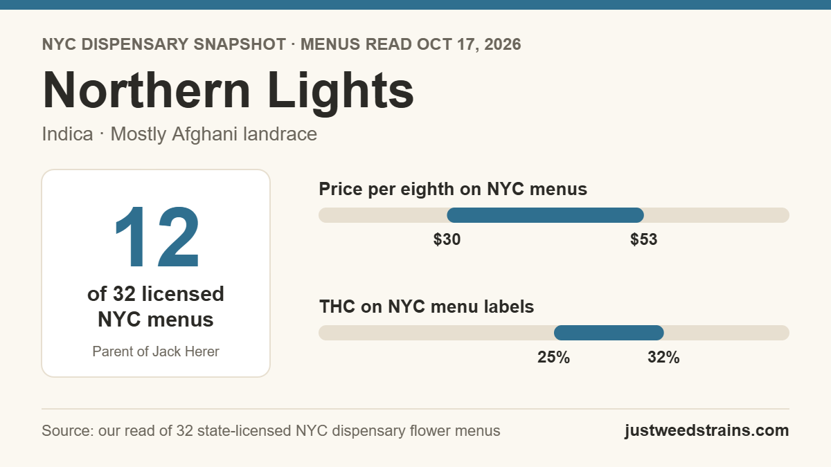 Northern Lights NYC snapshot: on 12 of 32 licensed dispensary menus on Oct 17, 2026, $30 to $53 per eighth, 25% to 32% THC on labels