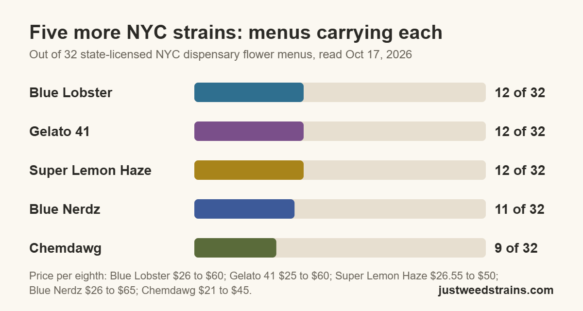 Bar chart comparing five strains on 32 NYC dispensary menus, Oct 17, 2026: Blue Lobster 12, Gelato 41 12, Super Lemon Haze 12, Blue Nerdz 11, Chemdawg 9