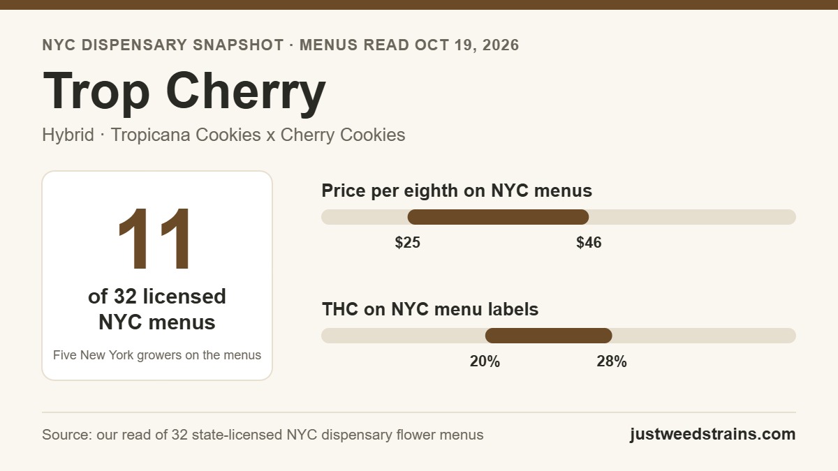 Trop Cherry NYC snapshot: on 11 of 32 licensed dispensary menus on Oct 19, 2026, $25 to $46 per eighth, 20% to 28% THC on labels